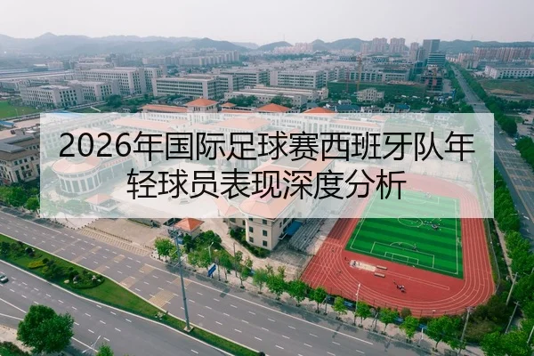 2026年国际足球赛西班牙队年轻球员表现深度分析