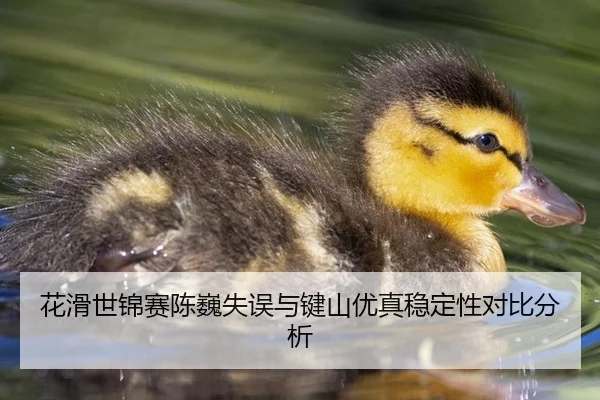 花滑世锦赛陈巍失误与键山优真稳定性对比分析